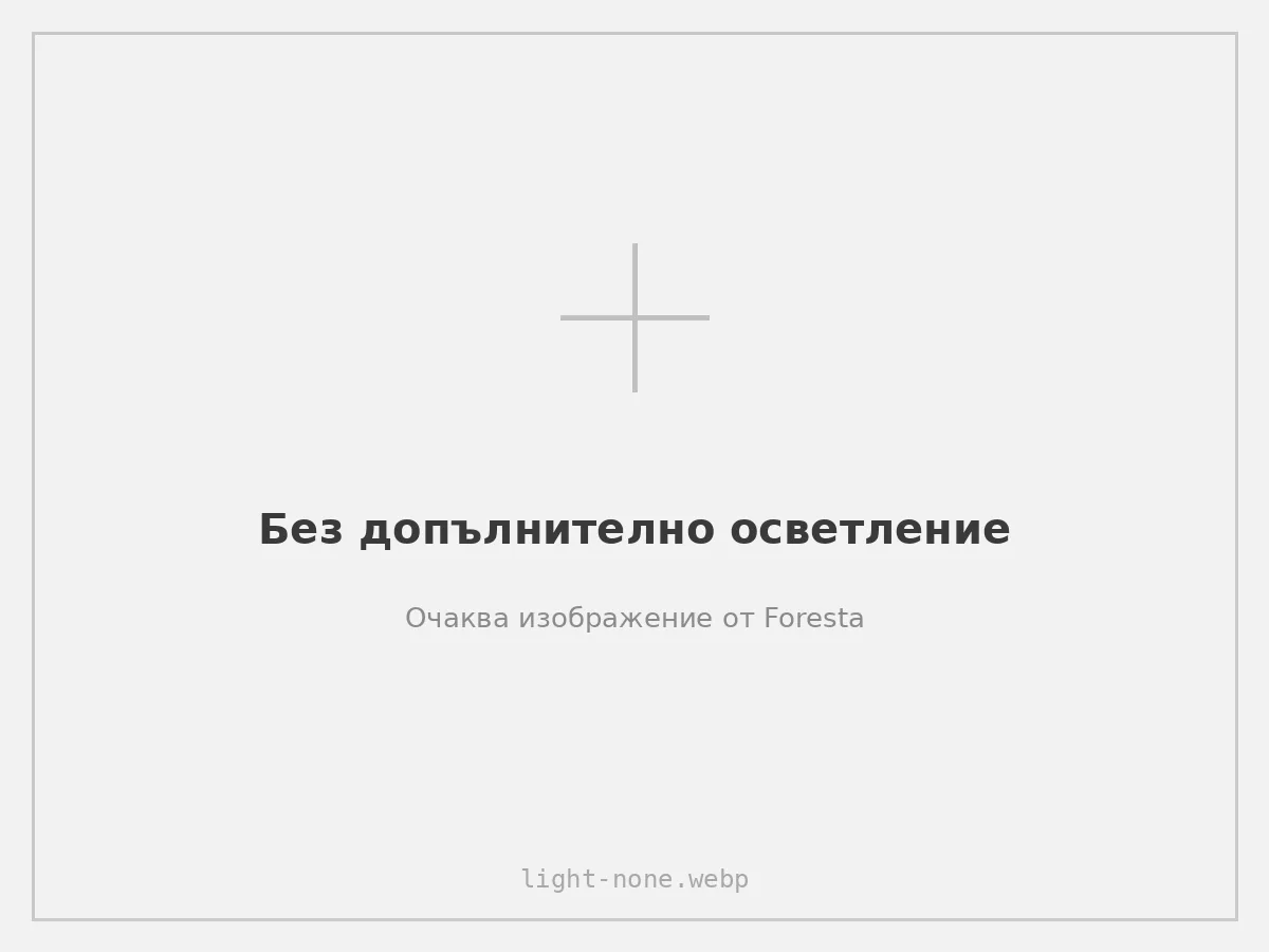 Без допълнително осветление